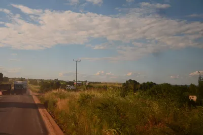 DSC_9720 (Large).JPG